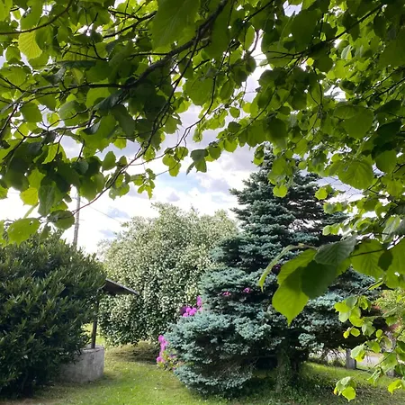 Le De Serrieres * Boisset (Cantal)